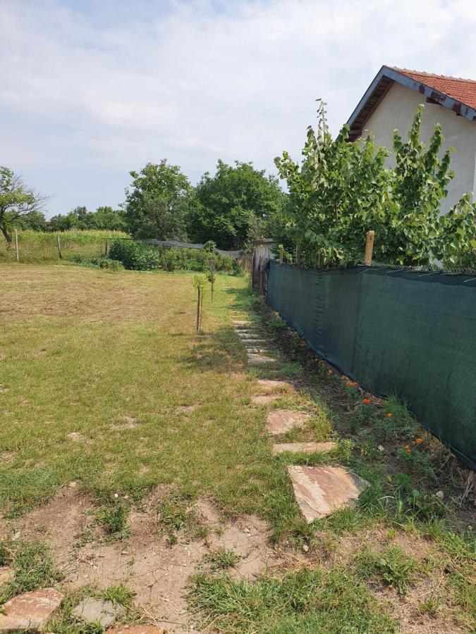 Malavi Guest House Krasen! Comfort&Clean! Exterior photo